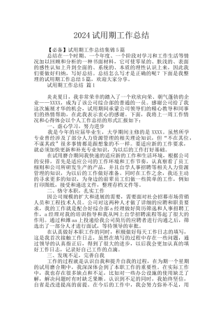 2024试用期工作总结