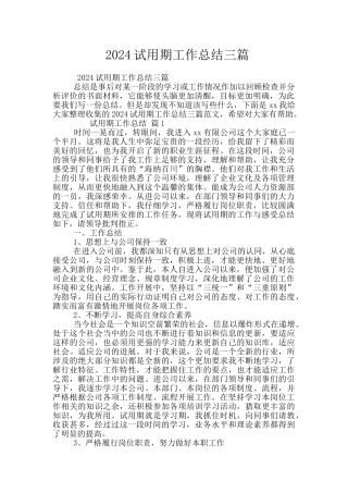 2024试用期工作总结三篇