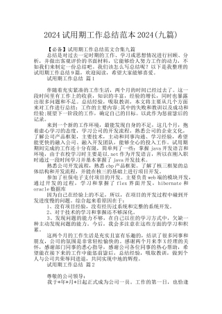 2024试用期工作总结范本2024