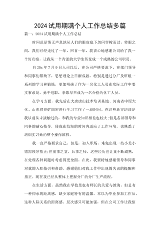 2024试用期满个人工作总结多篇