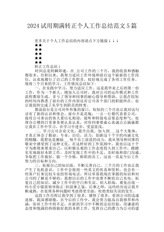 2024试用期满转正个人工作总结范文5篇