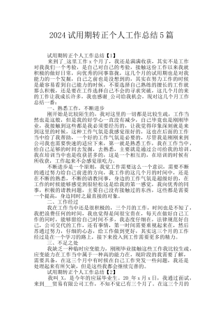 2024试用期转正个人工作总结5篇