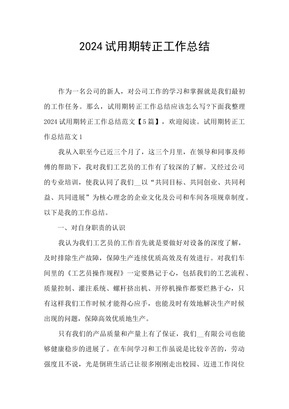2024试用期转正工作总结_第1页