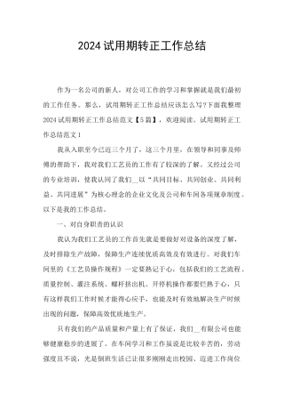 2024试用期转正工作总结