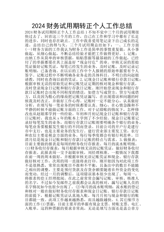 2024财务试用期转正个人工作总结