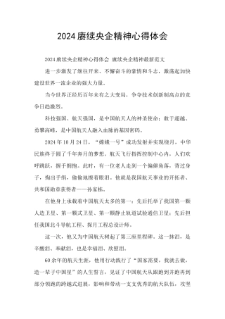 2024赓续央企精神心得体会