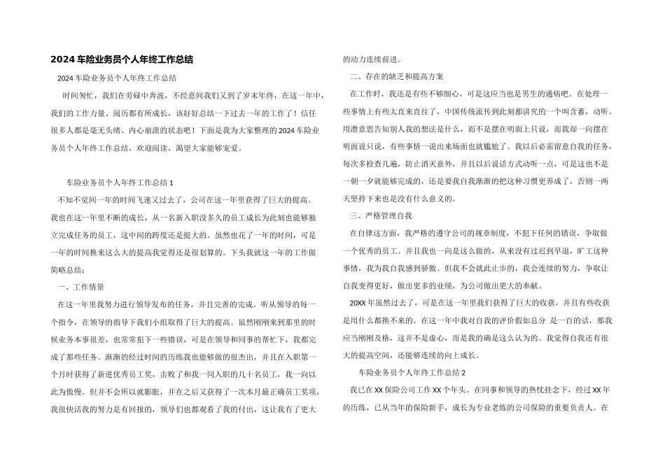 2024车险业务员个人年终工作总结_第1页