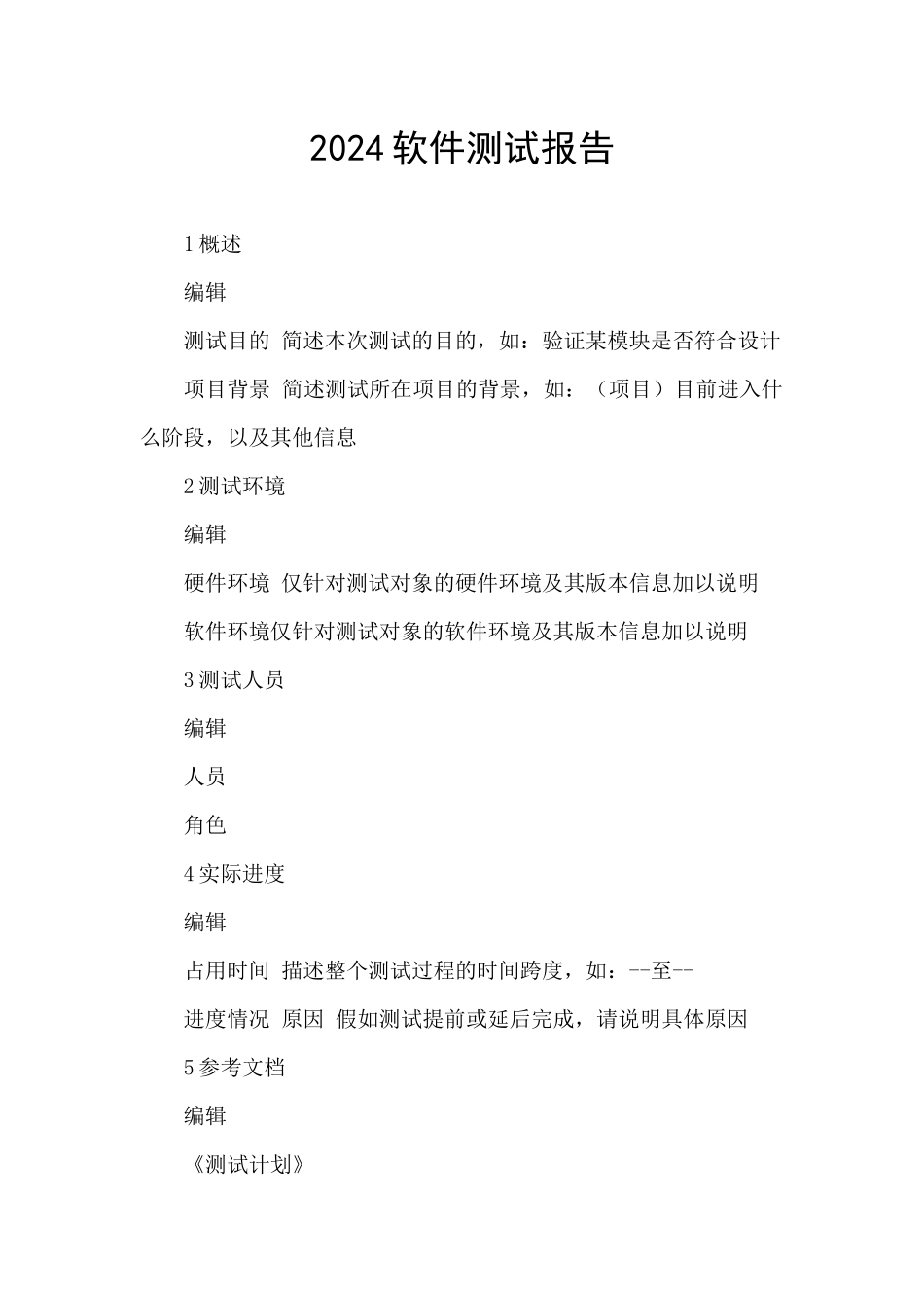 2024软件测试报告_第1页