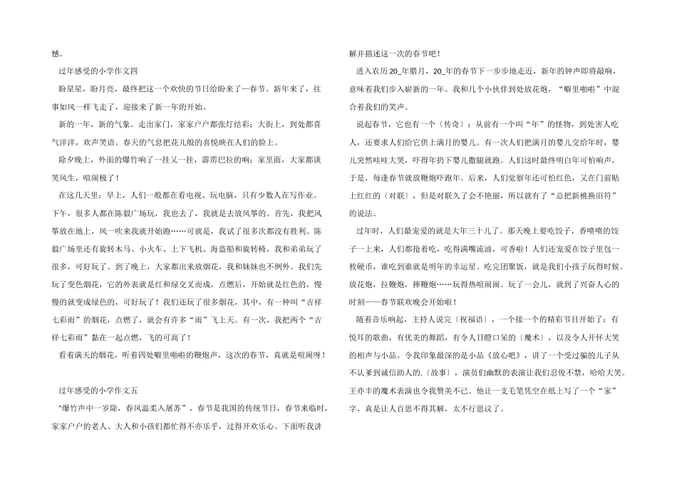 2024过年感受的小学_第3页