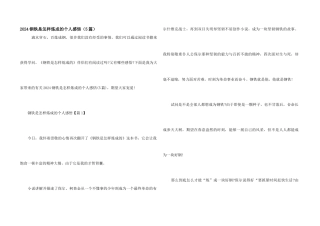 2024钢铁是怎样炼成的个人感悟（5篇）
