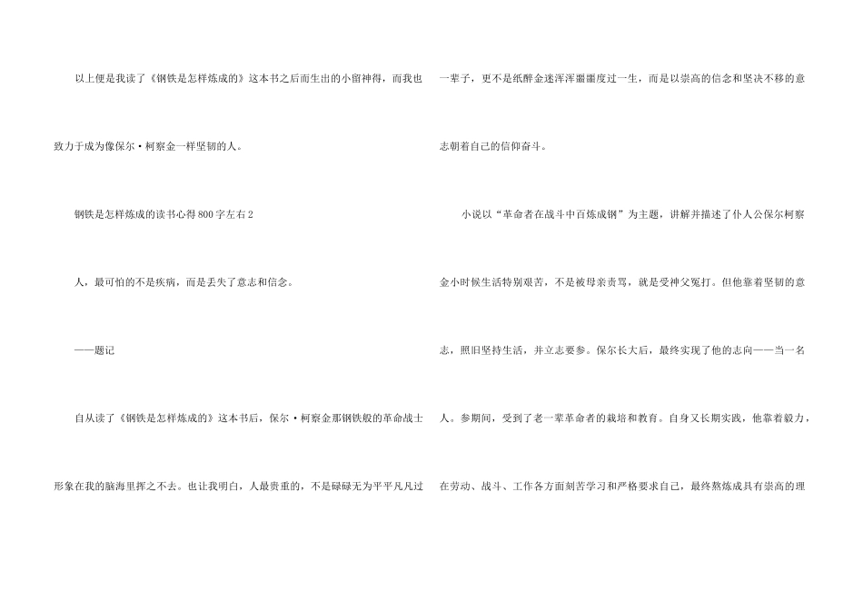 2024钢铁是怎样炼成的读书心得800字左右_第3页