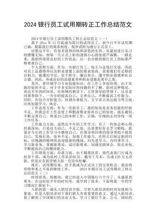 2024银行员工试用期转正工作总结范文