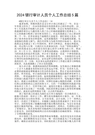 2024银行审计人员个人工作总结5篇
