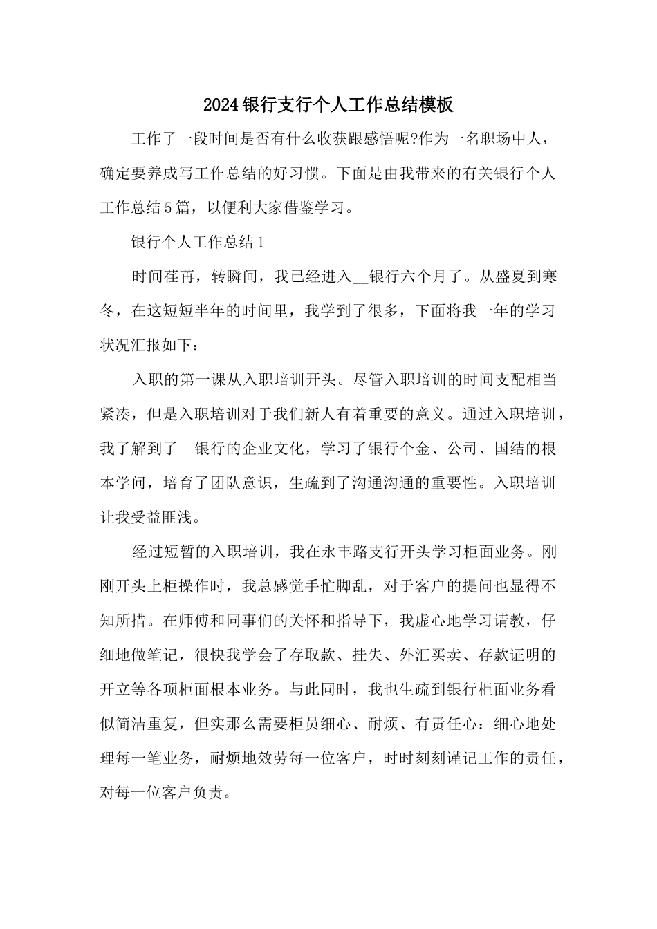 2024银行支行个人工作总结模板_第1页