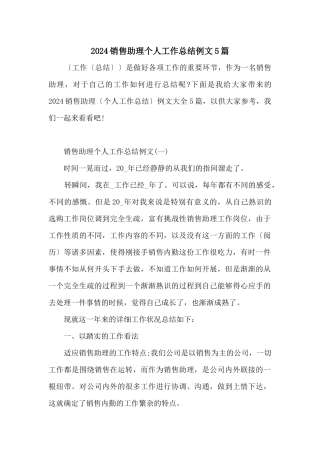 2024销售助理个人工作总结例文5篇