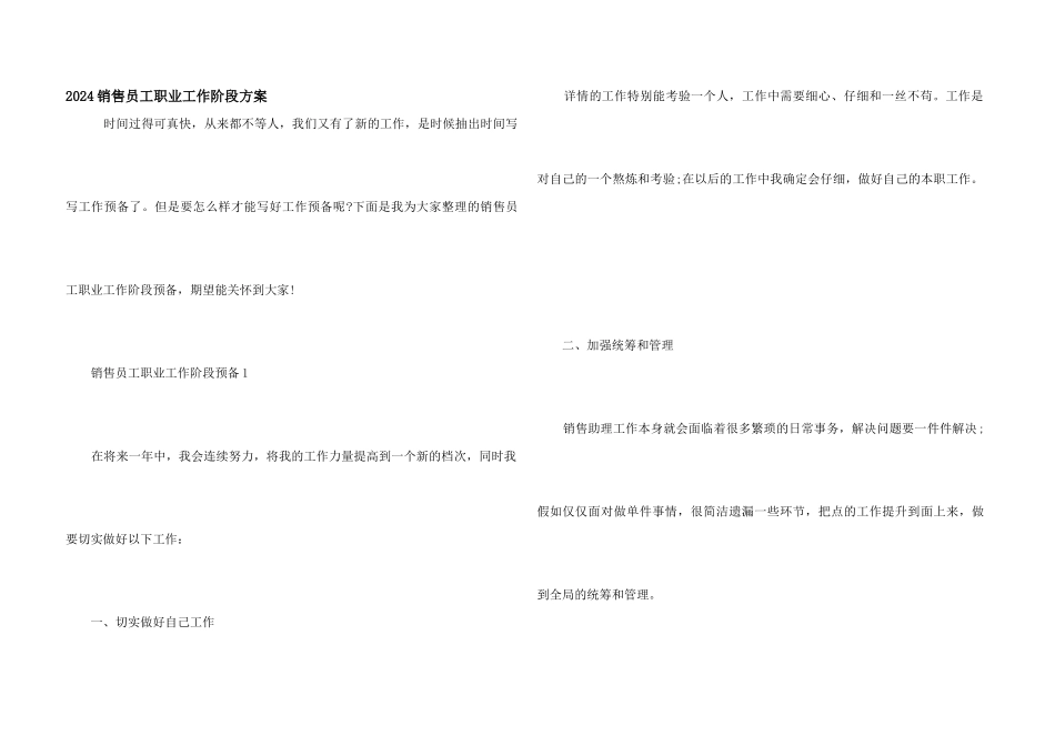 2024销售员工职业工作阶段计划_第1页