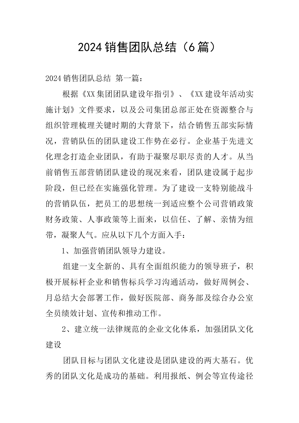 2024销售团队总结_第1页