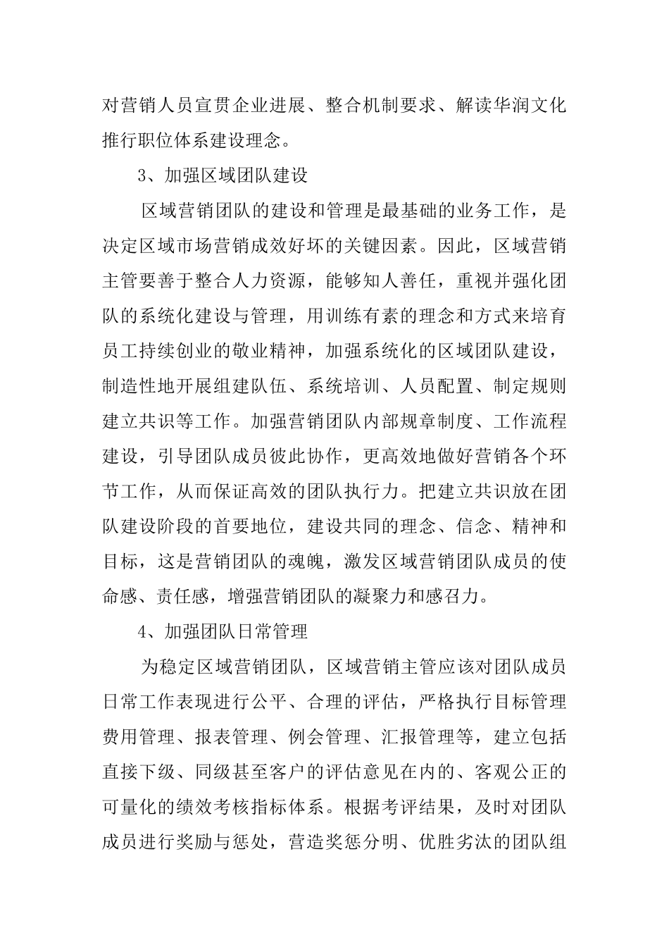 2024销售团队总结_第2页