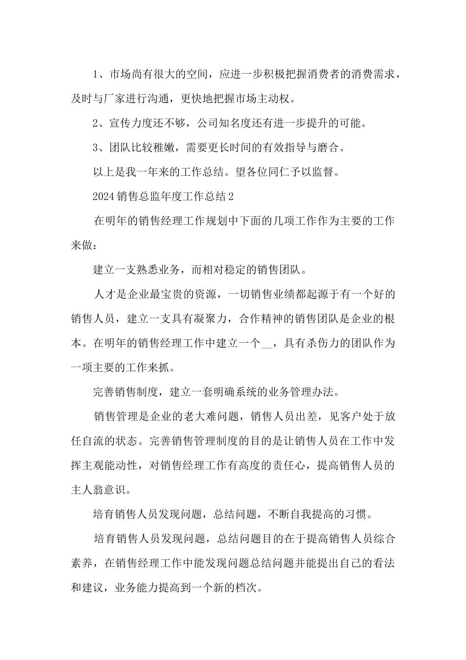 2024销售总监年度工作总结5篇_第2页