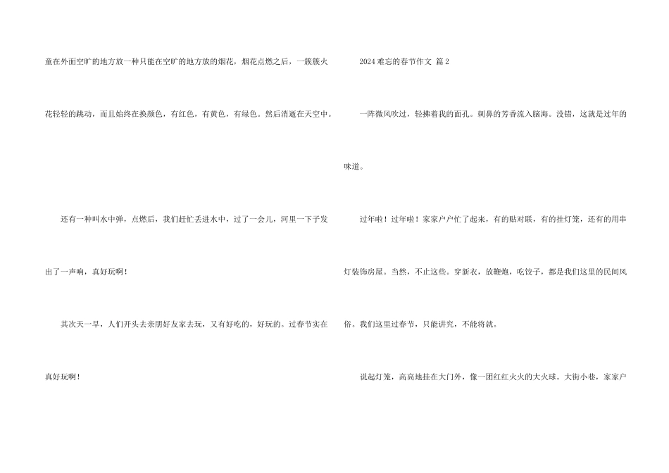 2024难忘的春节4篇_第2页