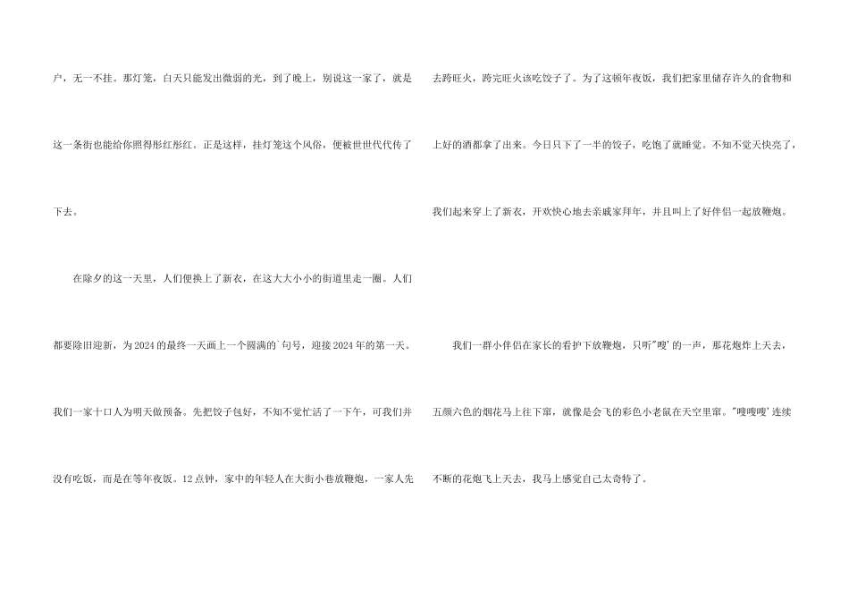 2024难忘的春节4篇_第3页