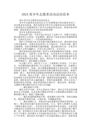 2024青少年志愿者活动总结范本