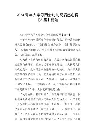 2024青年大学习两会时刻观后感心得精选