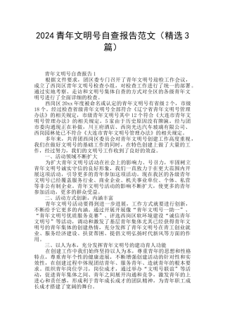 2024青年文明号自查报告范文