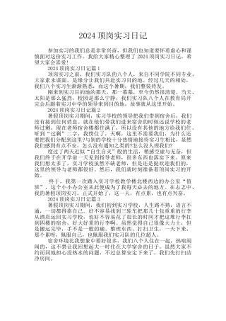 2024顶岗实习日记