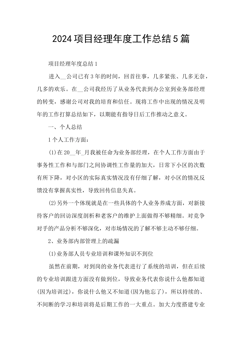 2024项目经理年度工作总结5篇_第1页