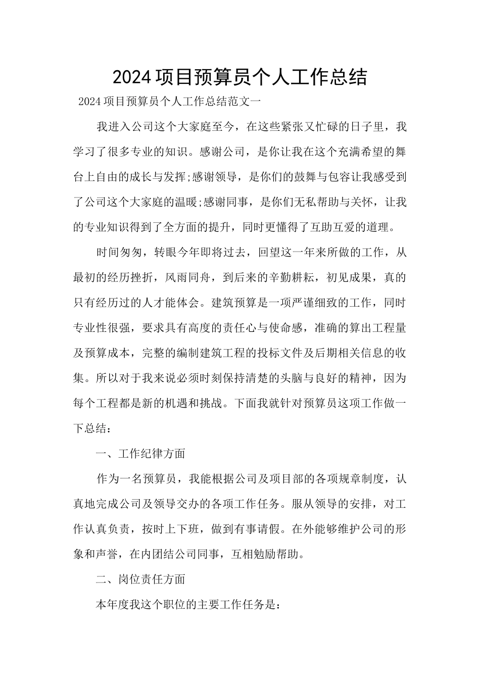 2024项目预算员个人工作总结_第1页
