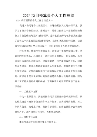 2024项目预算员个人工作总结