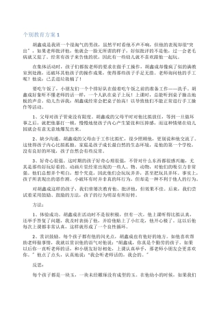 个别教育计划