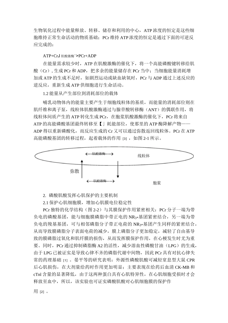 磷酸肌酸对心肌的保护作用_第2页