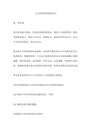 公司风控管理制度范文
