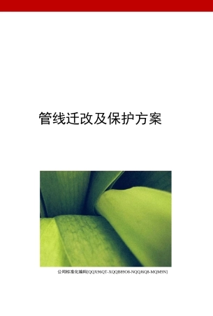 管线迁改及保护方案精编版