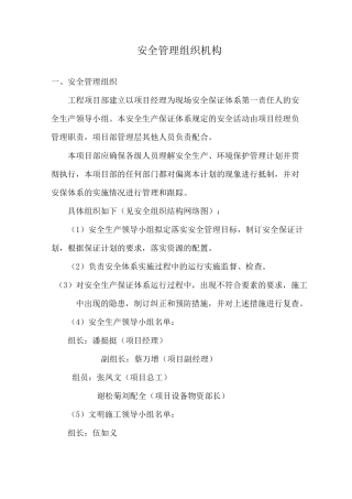 ,安全管理组织结构