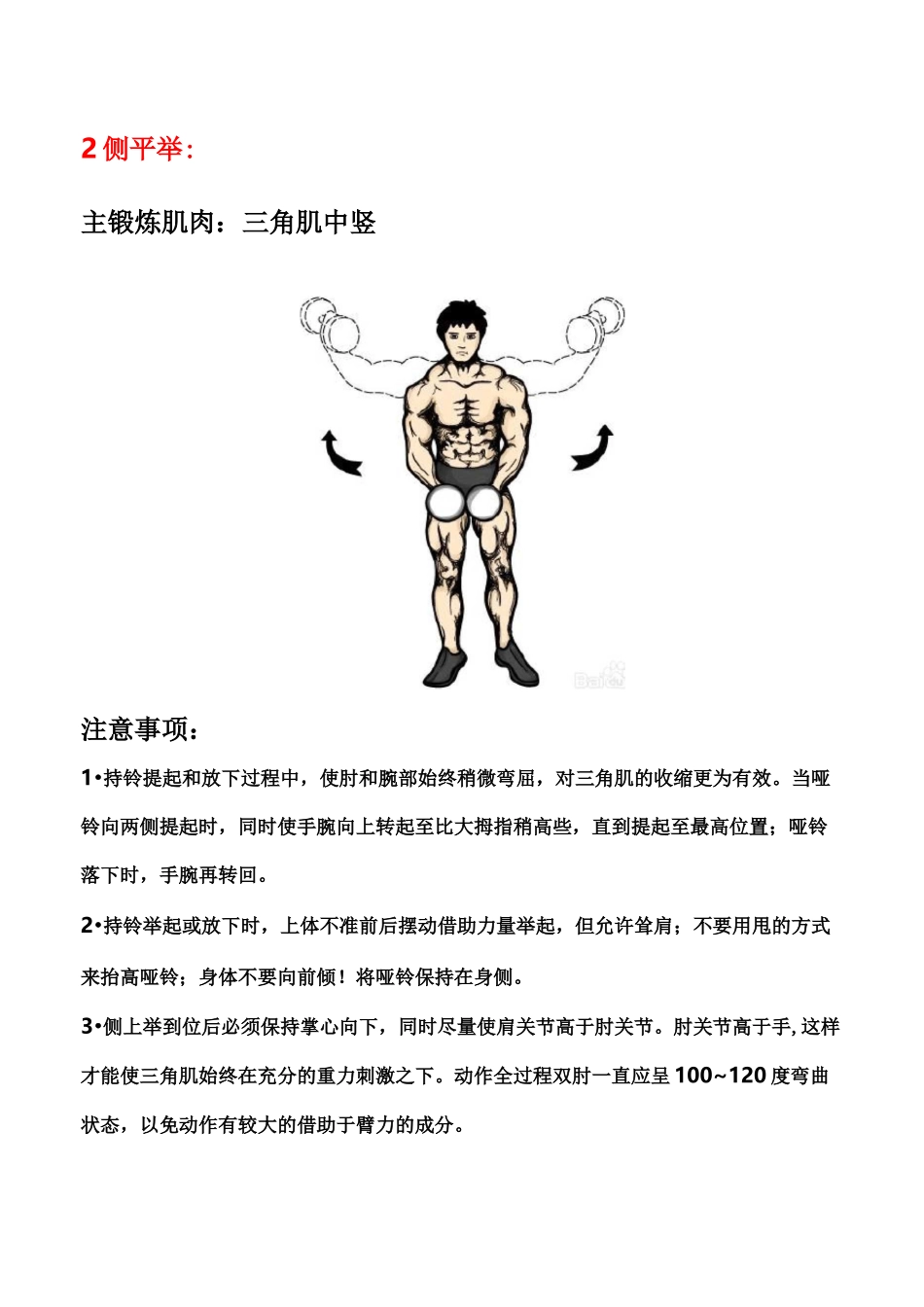 哑铃健身一周计划详解_第3页