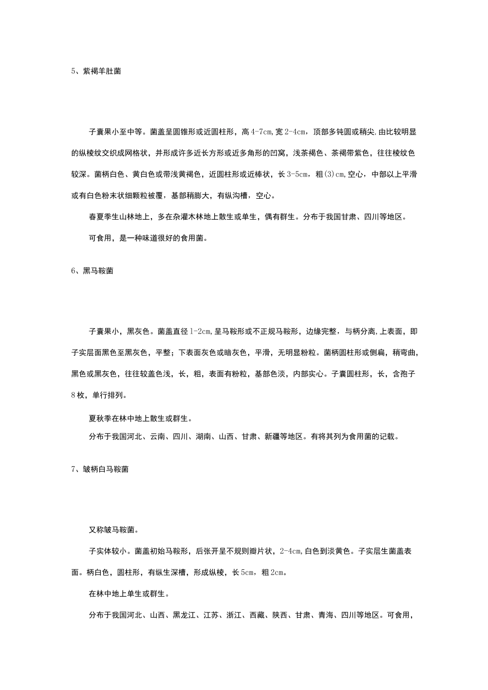 食用蘑菇的种类及图文介绍_第3页