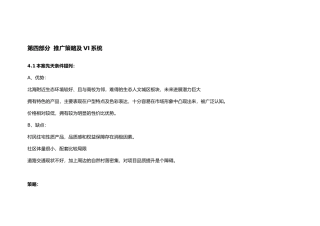 4、推广策略及VI系统