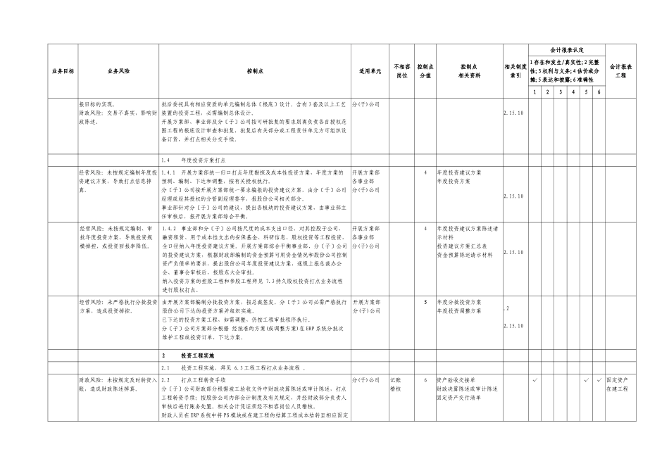 6.1资本支出业务控制矩阵_第2页