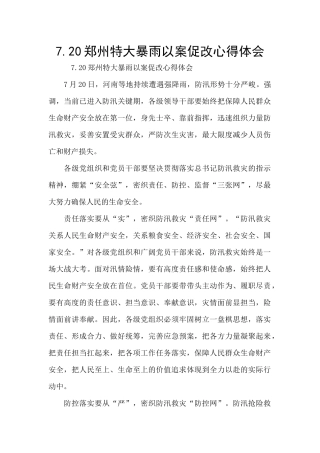 7.20郑州特大暴雨以案促改心得体会