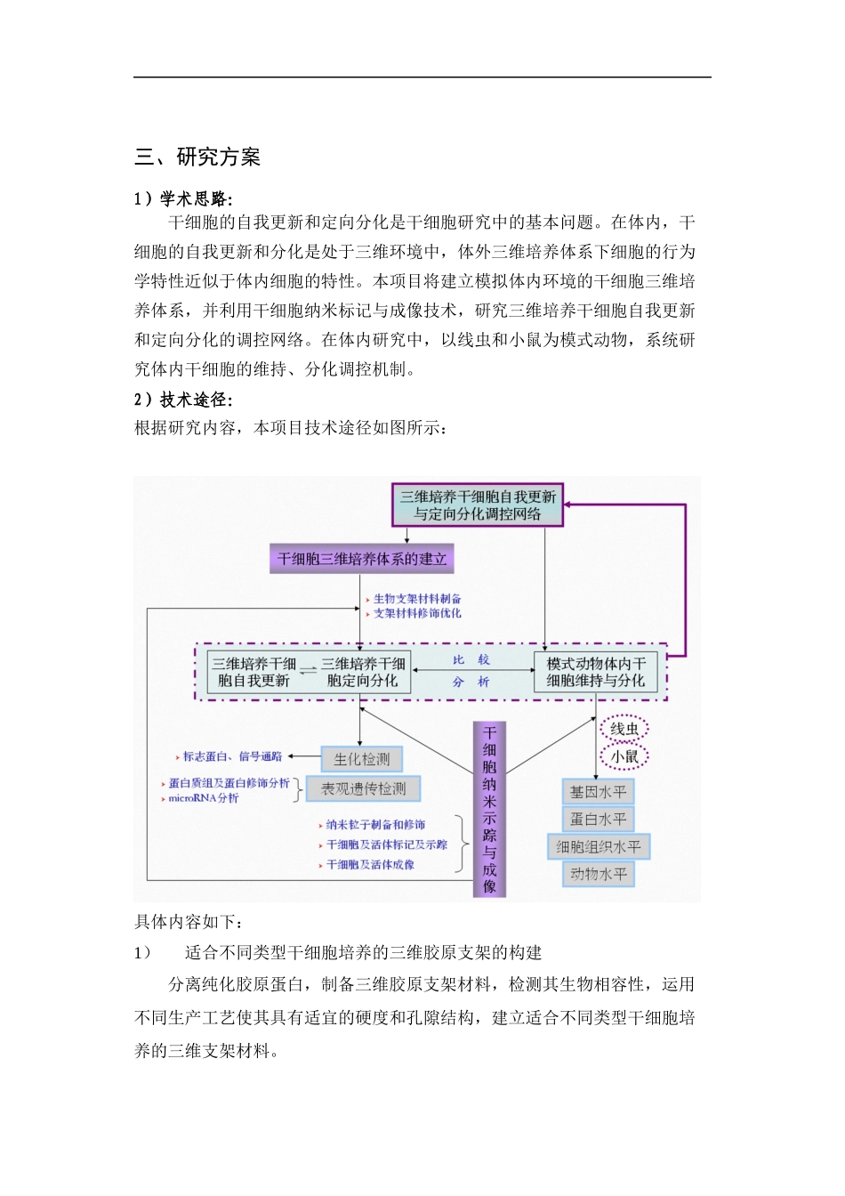 三维培养干细胞自我更新与定向分化的调控网络_第3页