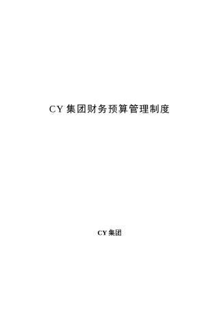 CY集团财务预算管理制度