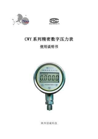 CWY系列精密数字压力表使用说明书