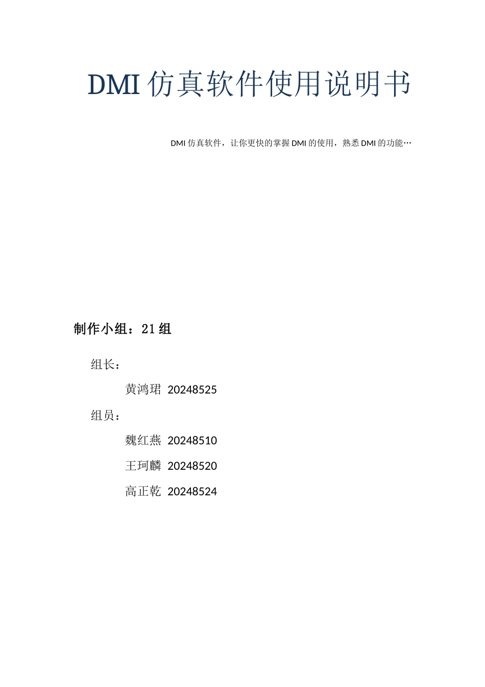 DMI仿真软件操作说明书_第1页