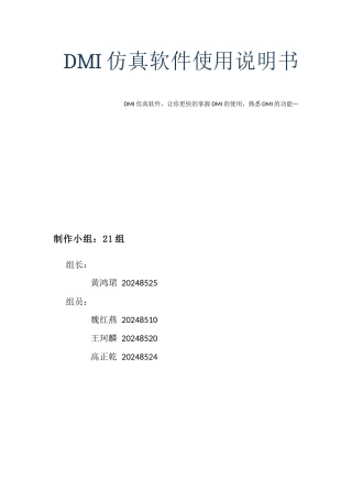 DMI仿真软件操作说明书