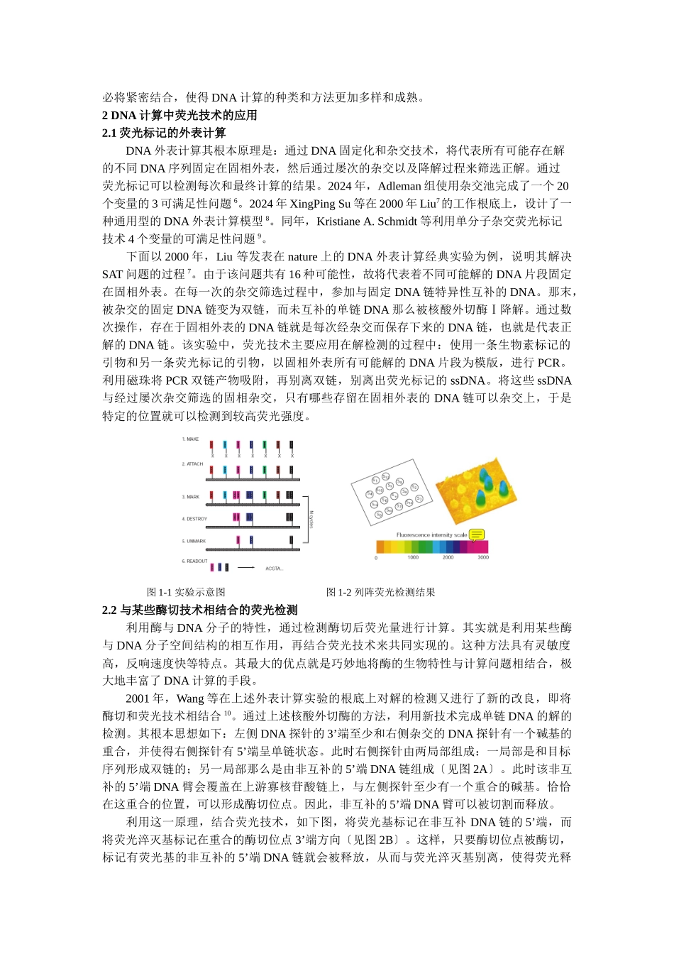 DNA计算中荧光技术的应用及其发展_第2页