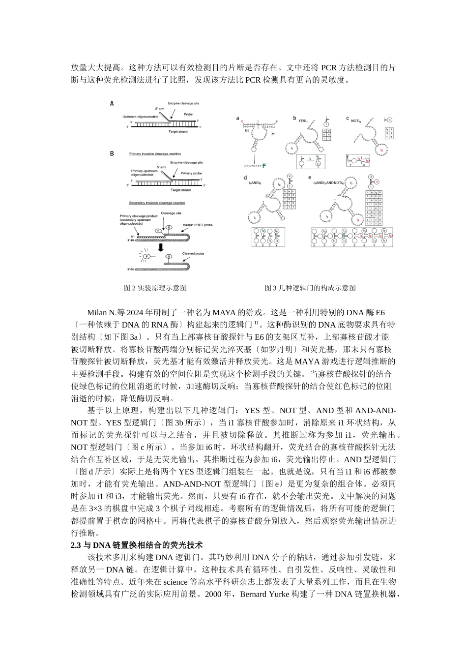 DNA计算中荧光技术的应用及其发展_第3页