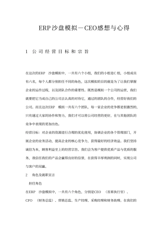 ERP沙盘模拟—CEO感想与心得